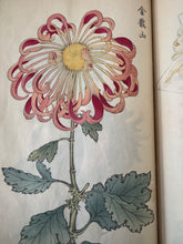 画像をギャラリービューアに読み込む, 　【真作保証】長谷川契華　契華百菊
