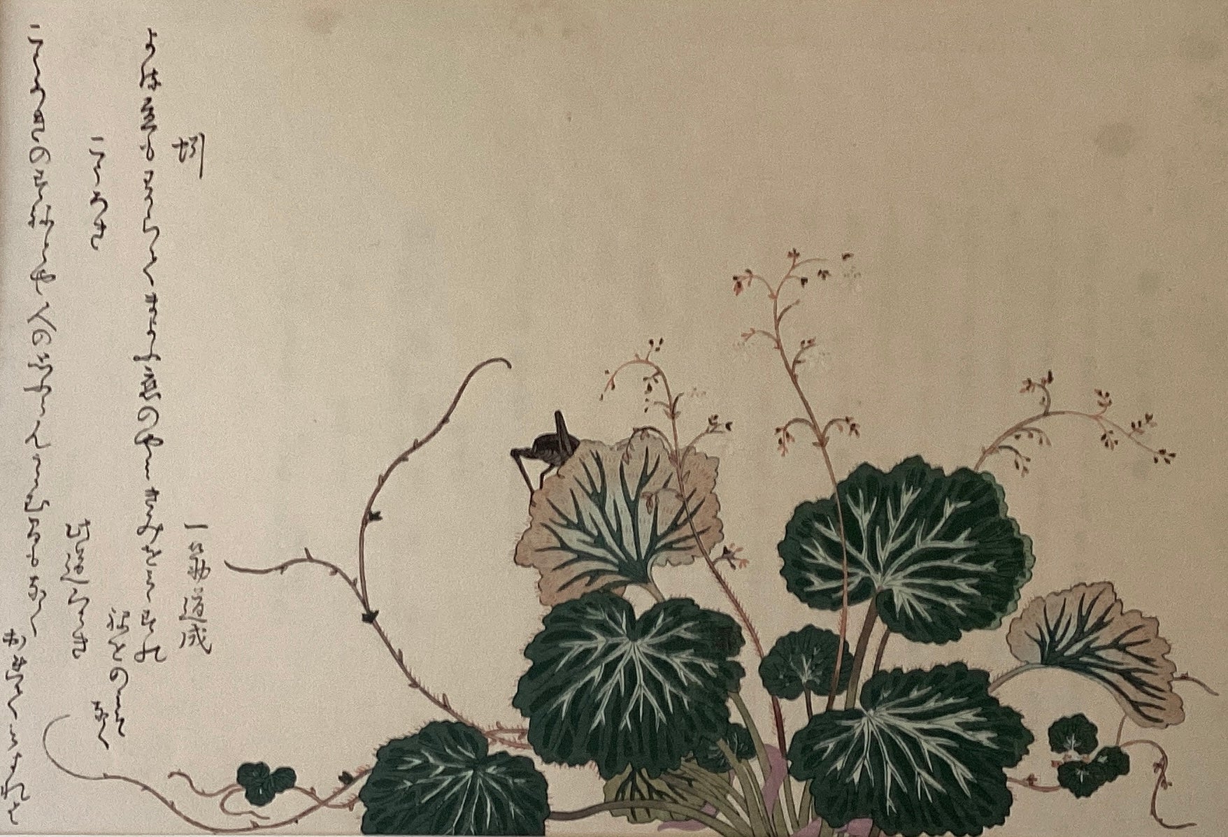 新着順 – curve-arts