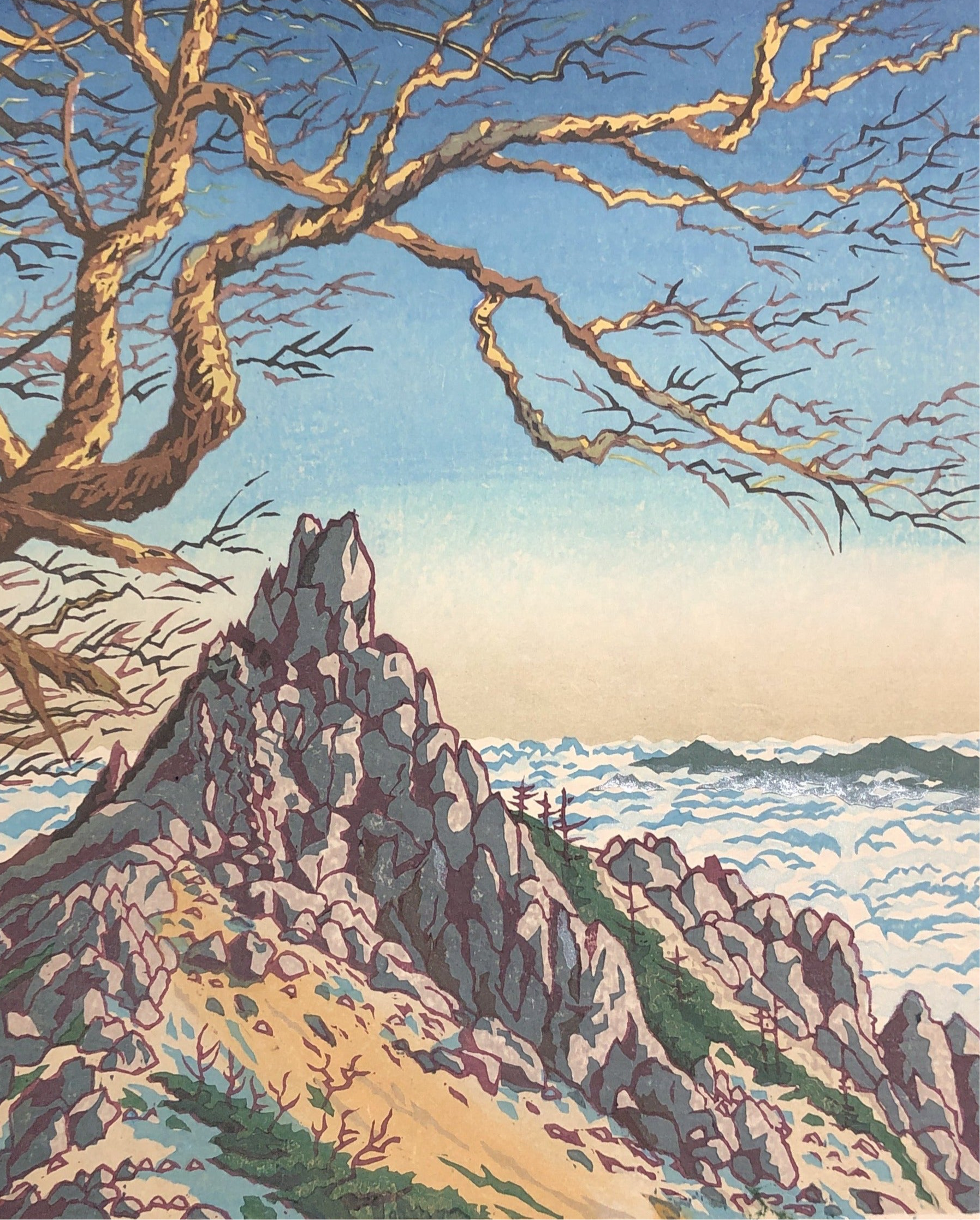 杉山修 – curve-arts