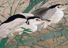 画像をギャラリービューアに読み込む, 【真作保証】土屋楽山 　竹の花に五位鷺
