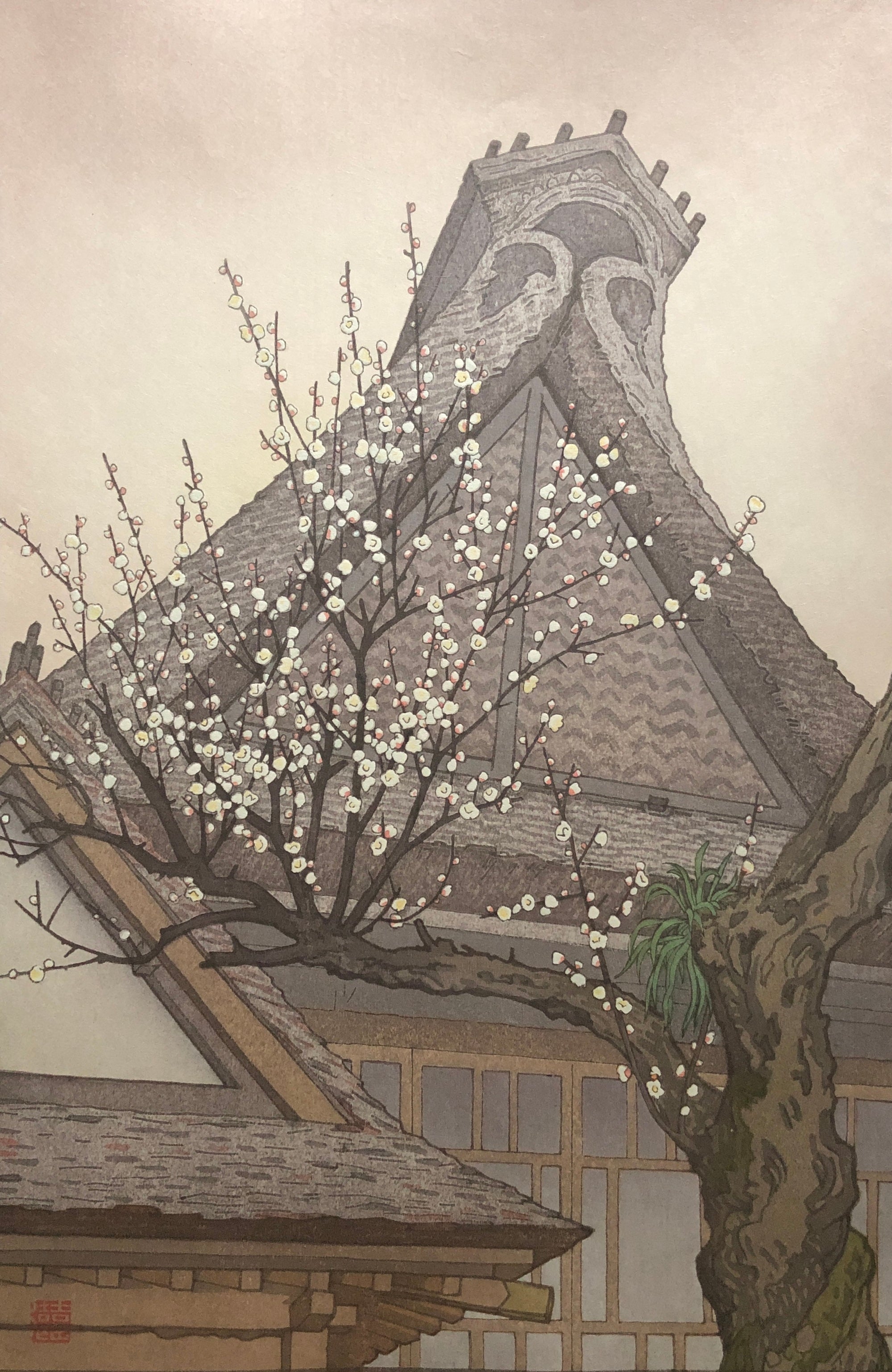 吉田遠志 – curve-arts