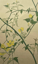 画像をギャラリービューアに読み込む, 【真作保証】杉浦非水　非水百花譜より　やまぶき
