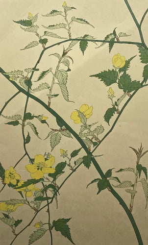 新着順 – curve-arts