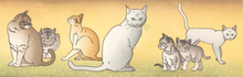 画像をギャラリービューアに読み込む, 【真作保証】吉田司　七匹の猫　seven cats　直筆サイン入り
