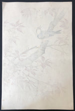 Load image into Gallery viewer, 【Genuine guarantee】 Ono Jyukou
