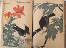 画像をギャラリービューアに読み込む, 【真作保証】今尾景年　景年花鳥画譜　春ノ部、夏ノ部
