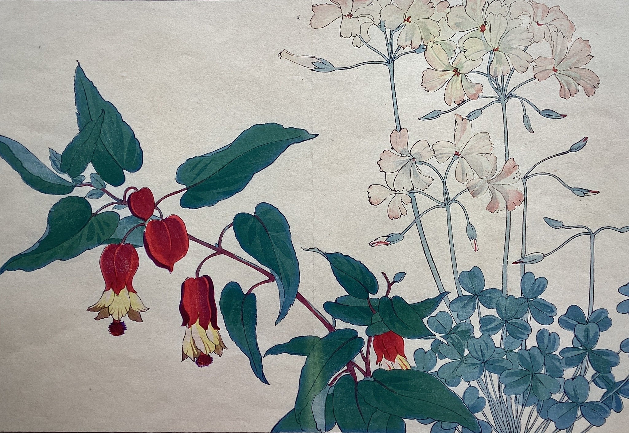 新着順 – curve-arts