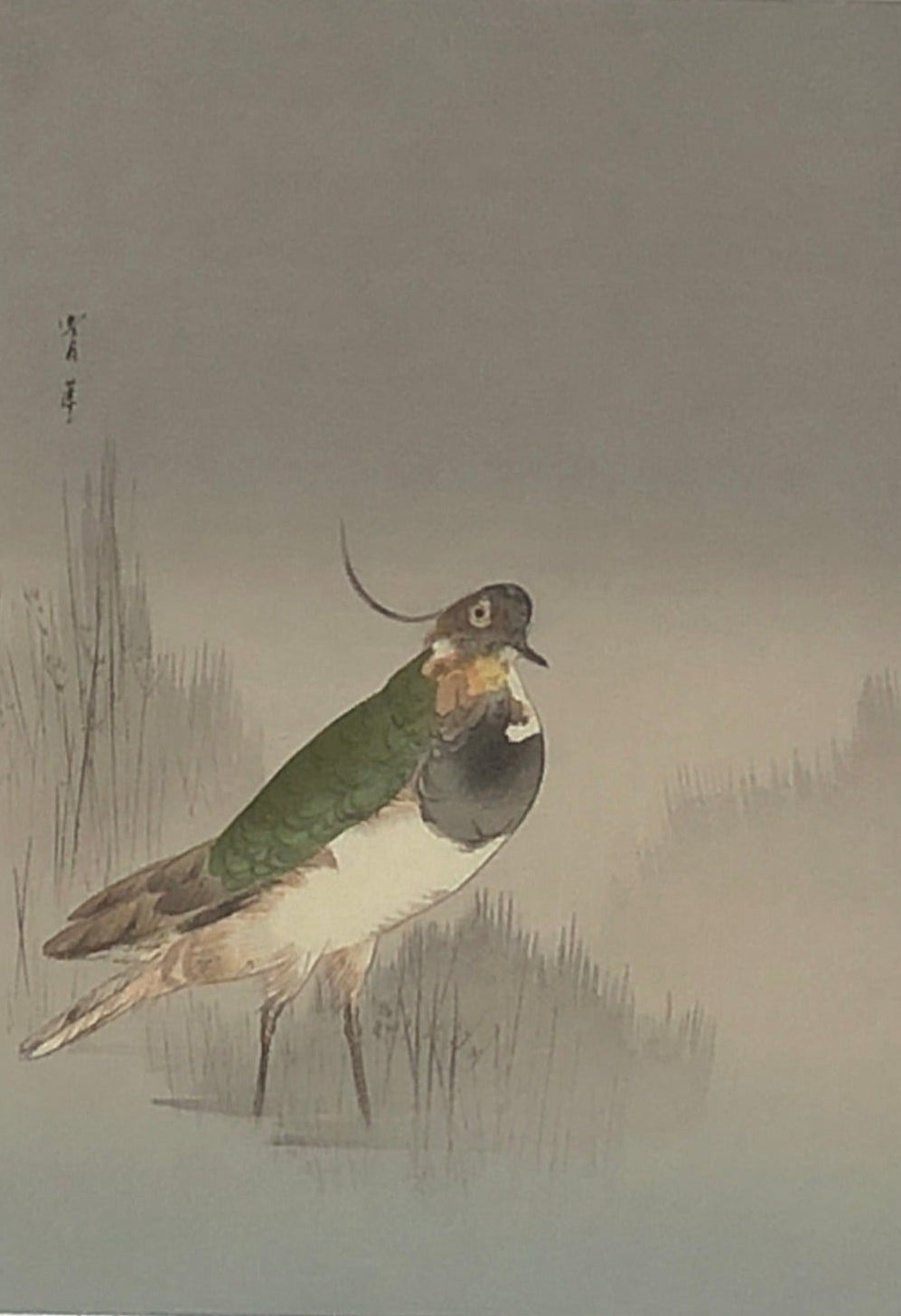 【Genuine guarantee】Watanabe Seitei