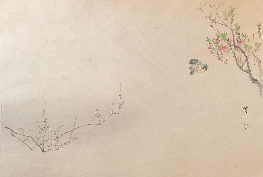 【真作保証】三島焦窓　花鳥画