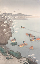 Load image into Gallery viewer, 【Guaranteed genuine】 Ohara Shoson / Koson
