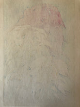 Load image into Gallery viewer, 【Genuine guarantee】Inuzuka Taisui, Hageitou
