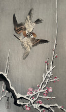 Load image into Gallery viewer, R【Genuine guarantee】 Ohara Koson, Sparrows above snow-covered plum tree
