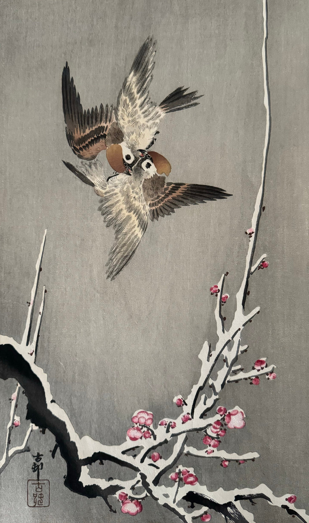 R【Genuine guarantee】 Ohara Koson, Sparrows above snow-covered plum tree