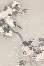 画像をギャラリービューアに読み込む, 商談中【真作保証】森田　花鳥画
