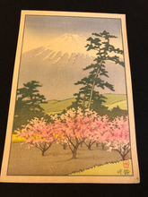Load image into Gallery viewer, 【Guaranteed genuine】 KAWASE HASUI  SUZUKAWA  CARD SIZE
