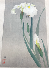 画像をギャラリービューアに読み込む, 【真作保証】小原古邨　小判　
