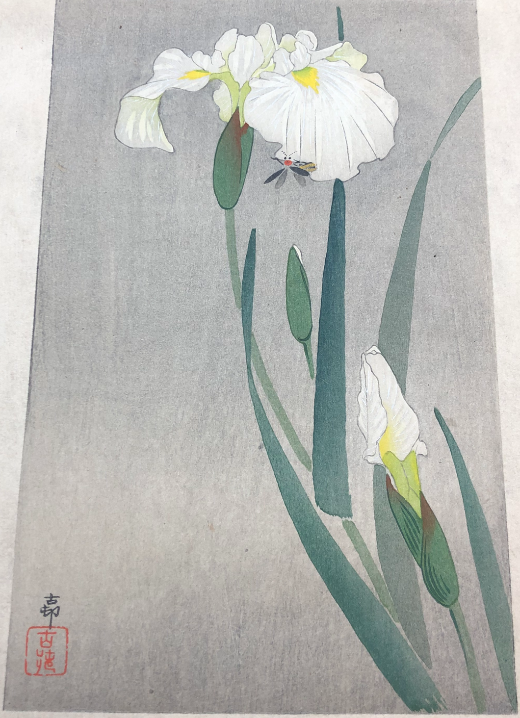 【真作保証】小原古邨　小判　