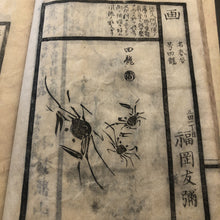 Load image into Gallery viewer, Name collection of artist 
