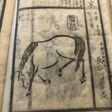 Load image into Gallery viewer, Name collection of artist 

