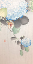 画像をギャラリービューアに読み込む, 【真作保証】小原古邨　紫陽花に雀　復刻版
