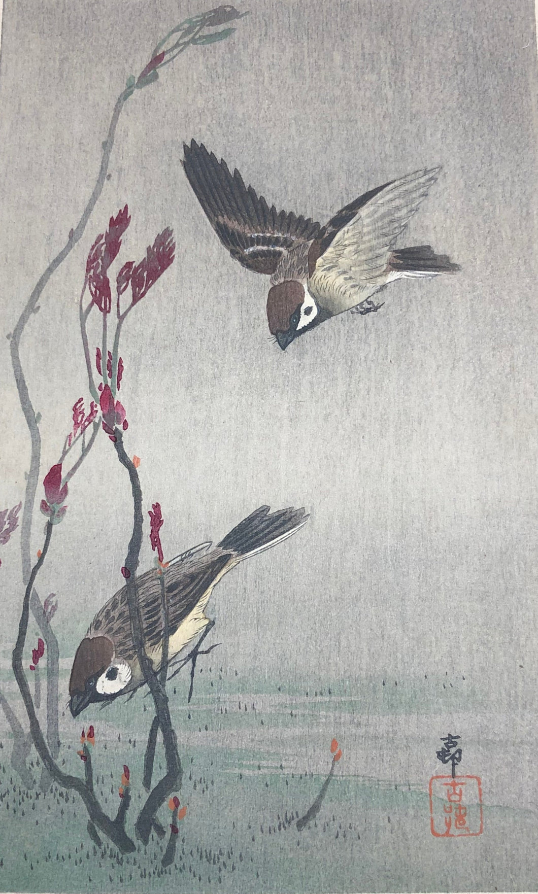 【真作保証】小原古邨　小判