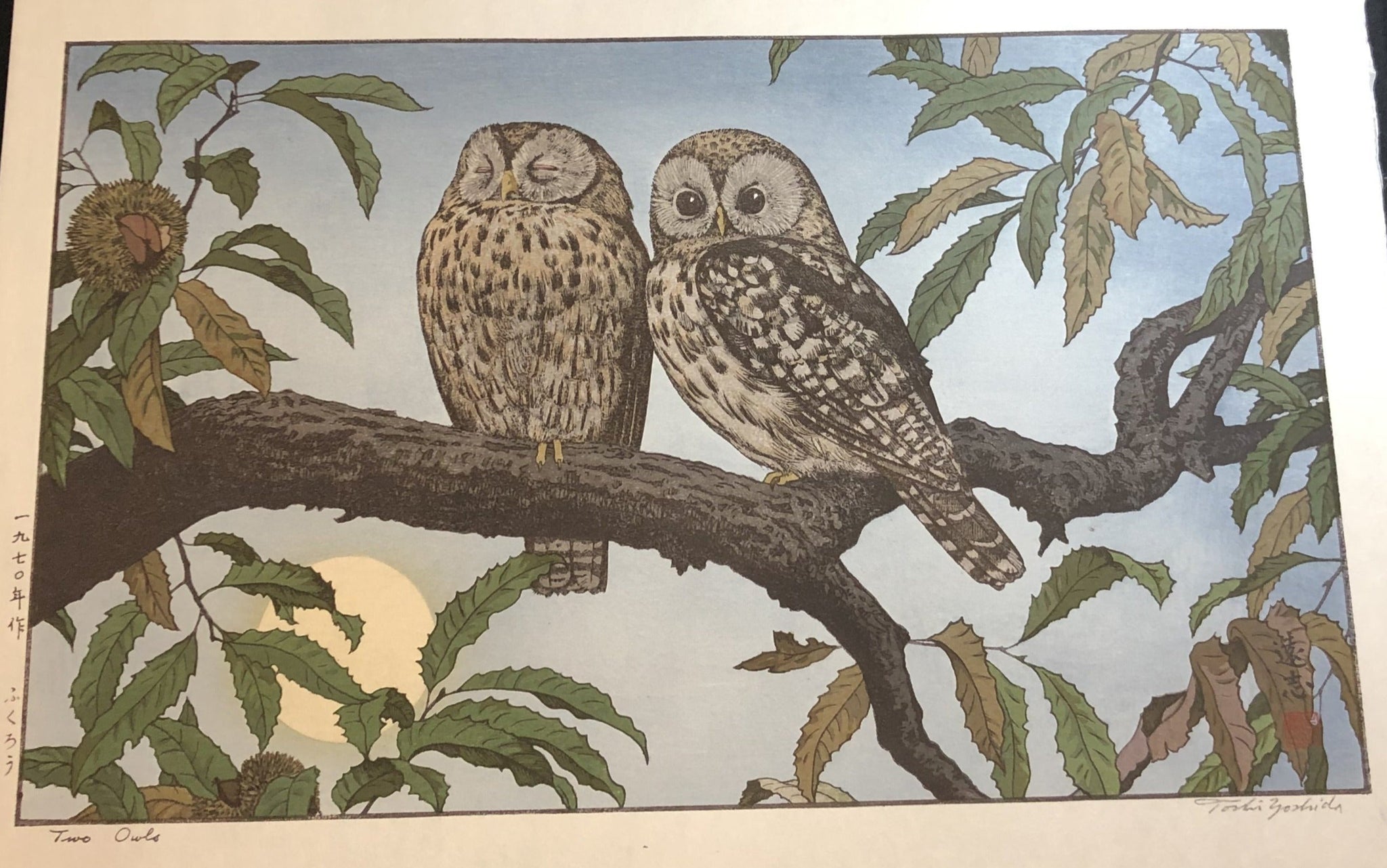 吉田修 詩集 魚の遠足 吉田修 魚の遠足 長帽子出版部 1972年 第一詩集