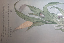 画像をギャラリービューアに読み込む, 喜多川歌麿　虫えらみ　ひぐらしとくも
