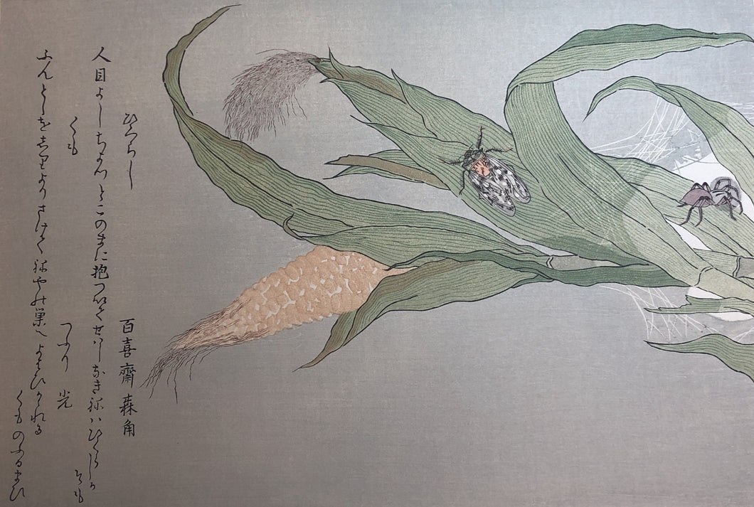 喜多川歌麿　虫えらみ　ひぐらしとくも
