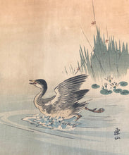 Load image into Gallery viewer, 【Genuine guarantee】 Renzan, koban
