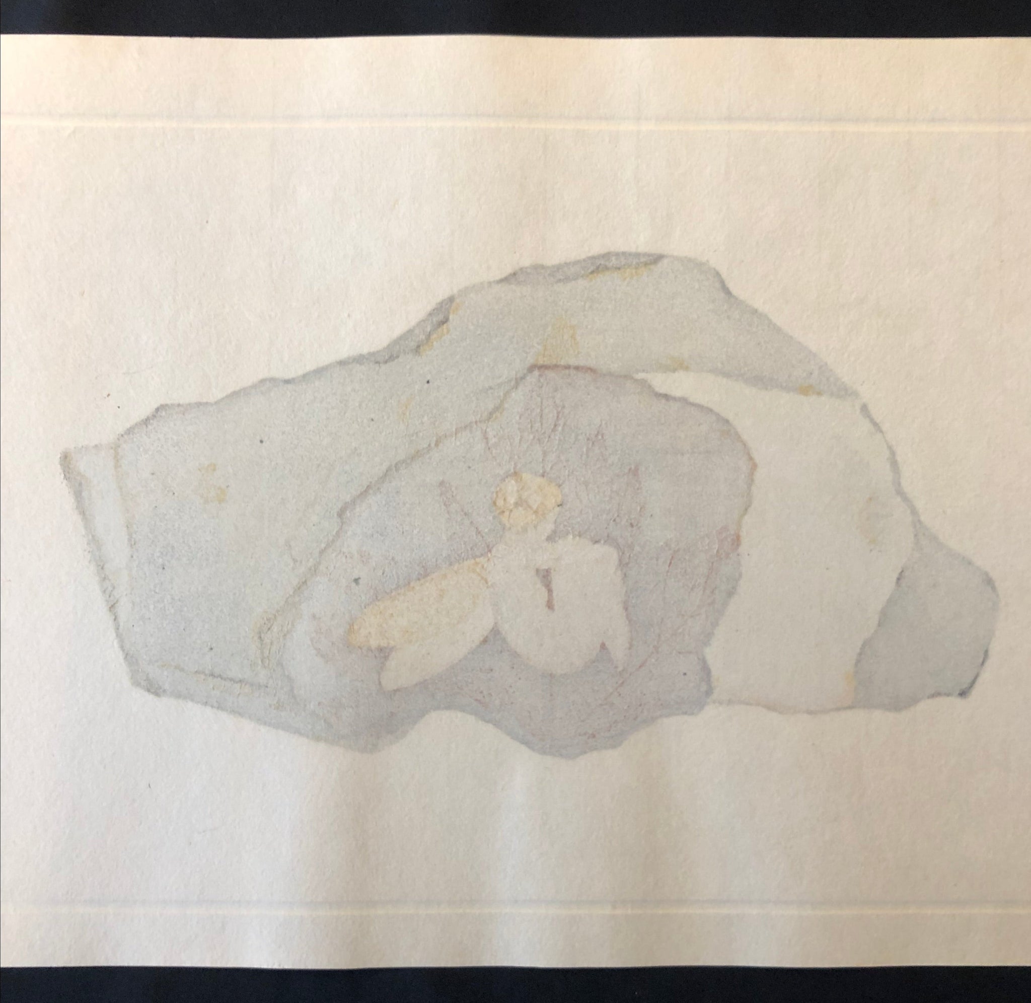 真作保証】岡本流生 化石(五) Okamoto Ryusei Original woodblock