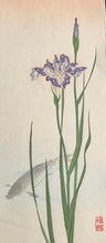 Load image into Gallery viewer, 【Genuine guarantee】 Takeuchi Seiho, Tanzaku
