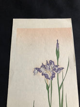 Load image into Gallery viewer, 【Genuine guarantee】 Takeuchi Seiho, Tanzaku
