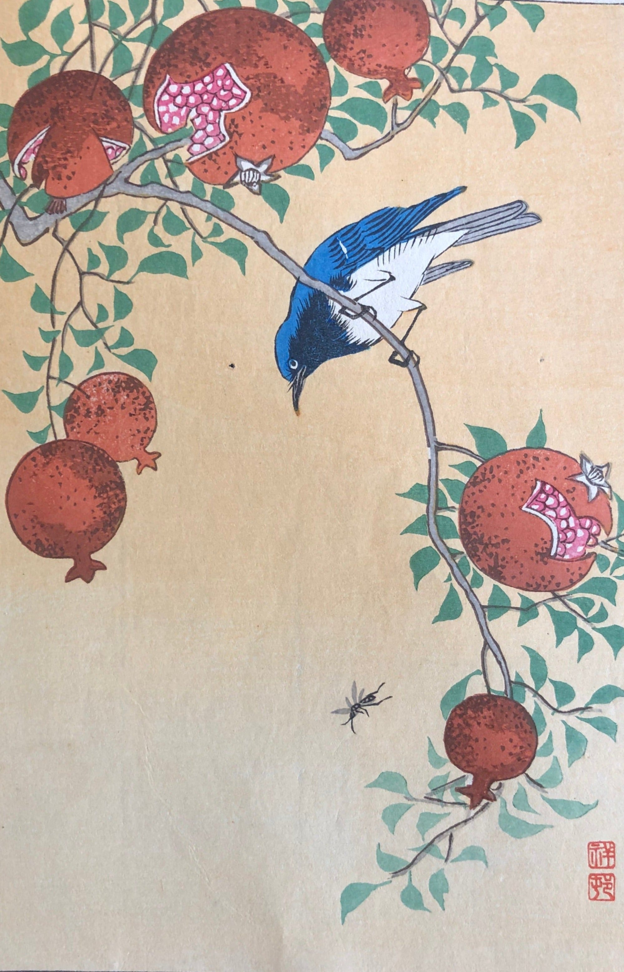 小原古邨 祥邨 豊邨 『梅に鶯』 明治後期作 木版画 真作 美品 鳥 ウグイス 小原古邨 祥邨 豊邨 『梅に鶯』 明治後期作 木版画 真作 美品 鳥 ウグイス