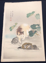 画像をギャラリービューアに読み込む, 大出東皐　木版画　かえるを狙う猫
