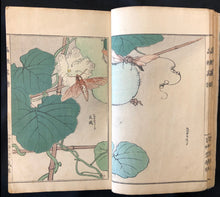 Load image into Gallery viewer, 【Genuine guarantee】　Churui-Gafu, 1910
