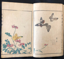 Load image into Gallery viewer, 【Genuine guarantee】　Churui-Gafu, 1910
