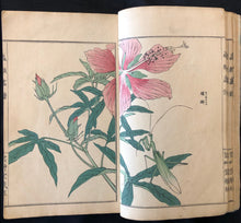 Load image into Gallery viewer, 【Genuine guarantee】　Churui-Gafu, 1910
