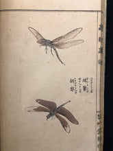 Load image into Gallery viewer, 【Genuine guarantee】　Churui-Gafu, 1910

