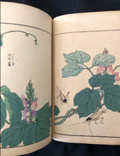 Load image into Gallery viewer, 【Genuine guarantee】　Churui-Gafu, 1910
