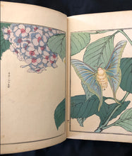 Load image into Gallery viewer, 【Genuine guarantee】　Churui-Gafu, 1910
