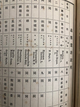 Load image into Gallery viewer, 【Genuine guarantee】　Churui-Gafu, 1910
