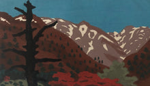 Load image into Gallery viewer, 【Genuine guarantee】Maede Masao,　Okunikko, 14/700
