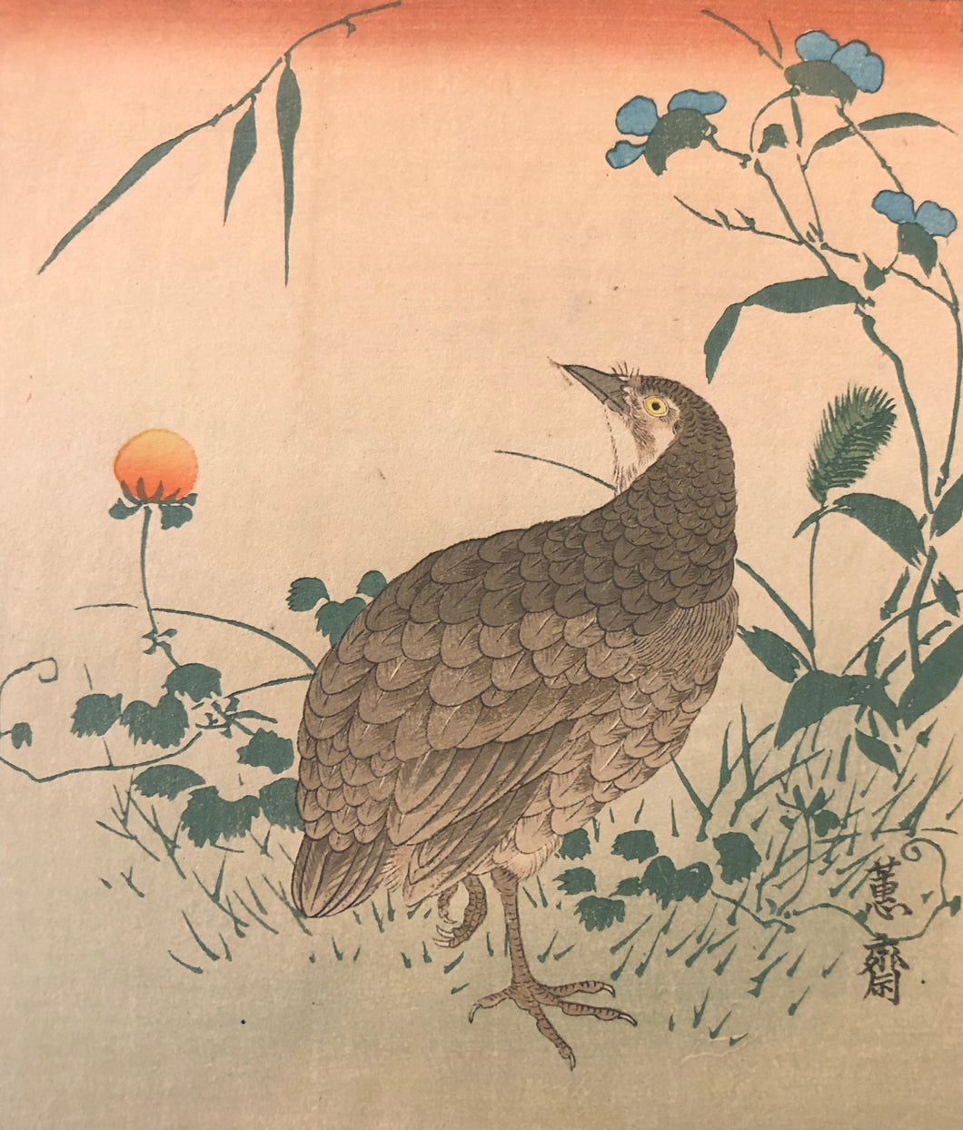 恵斎　花鳥画