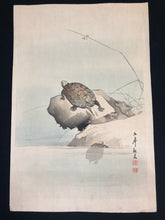Load image into Gallery viewer, Ooide Toko　original woodblock print, Turtle
