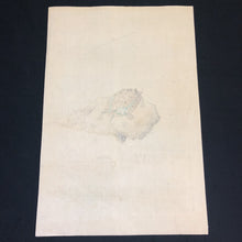 Load image into Gallery viewer, Ooide Toko　original woodblock print, Turtle
