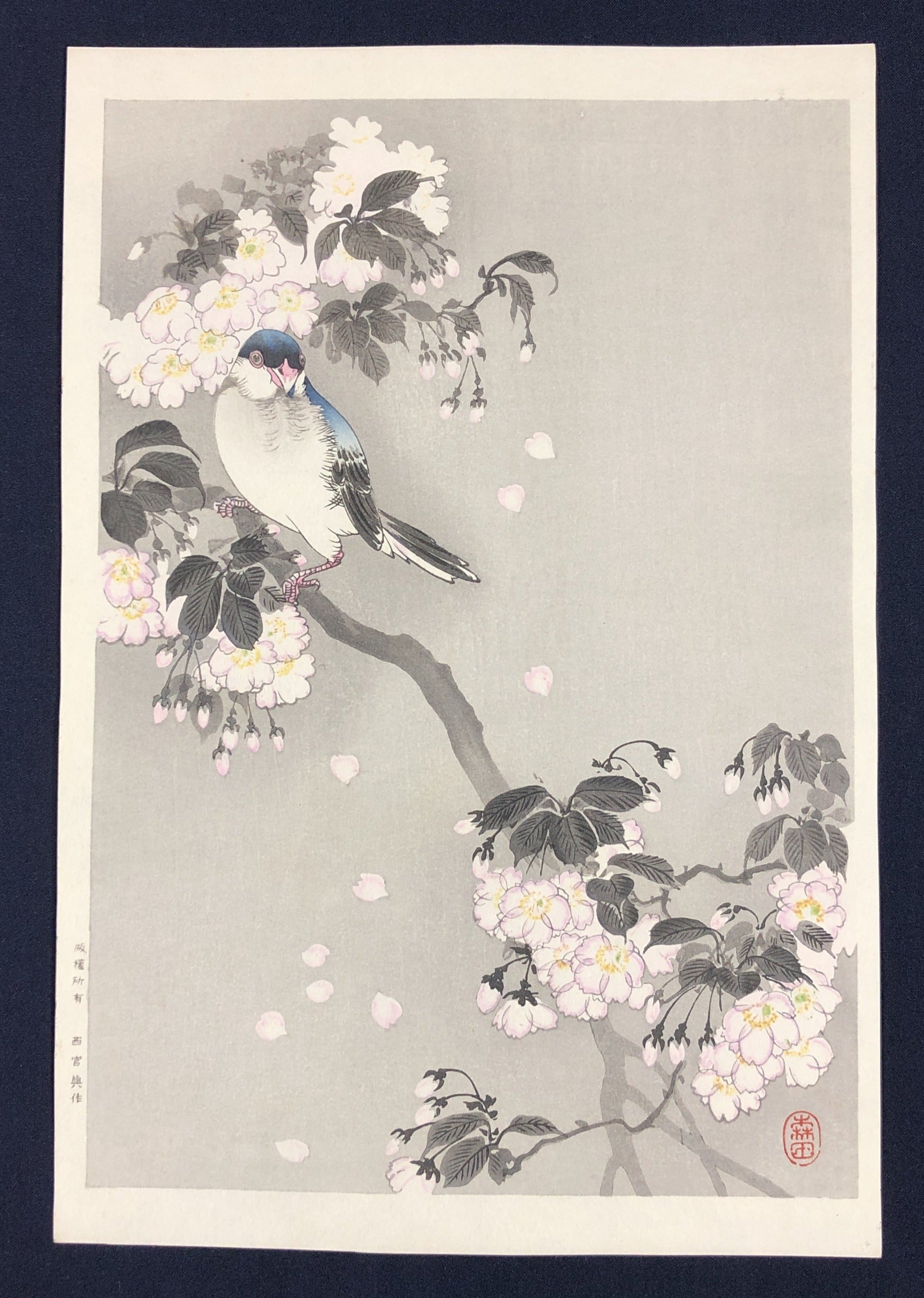 【希少】額付き 助田茂蔵 版画 カラスウリ 61c+WQ16KeL.jpg