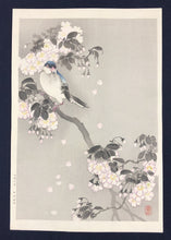 画像をギャラリービューアに読み込む, 【真作保証】森田　花鳥画

