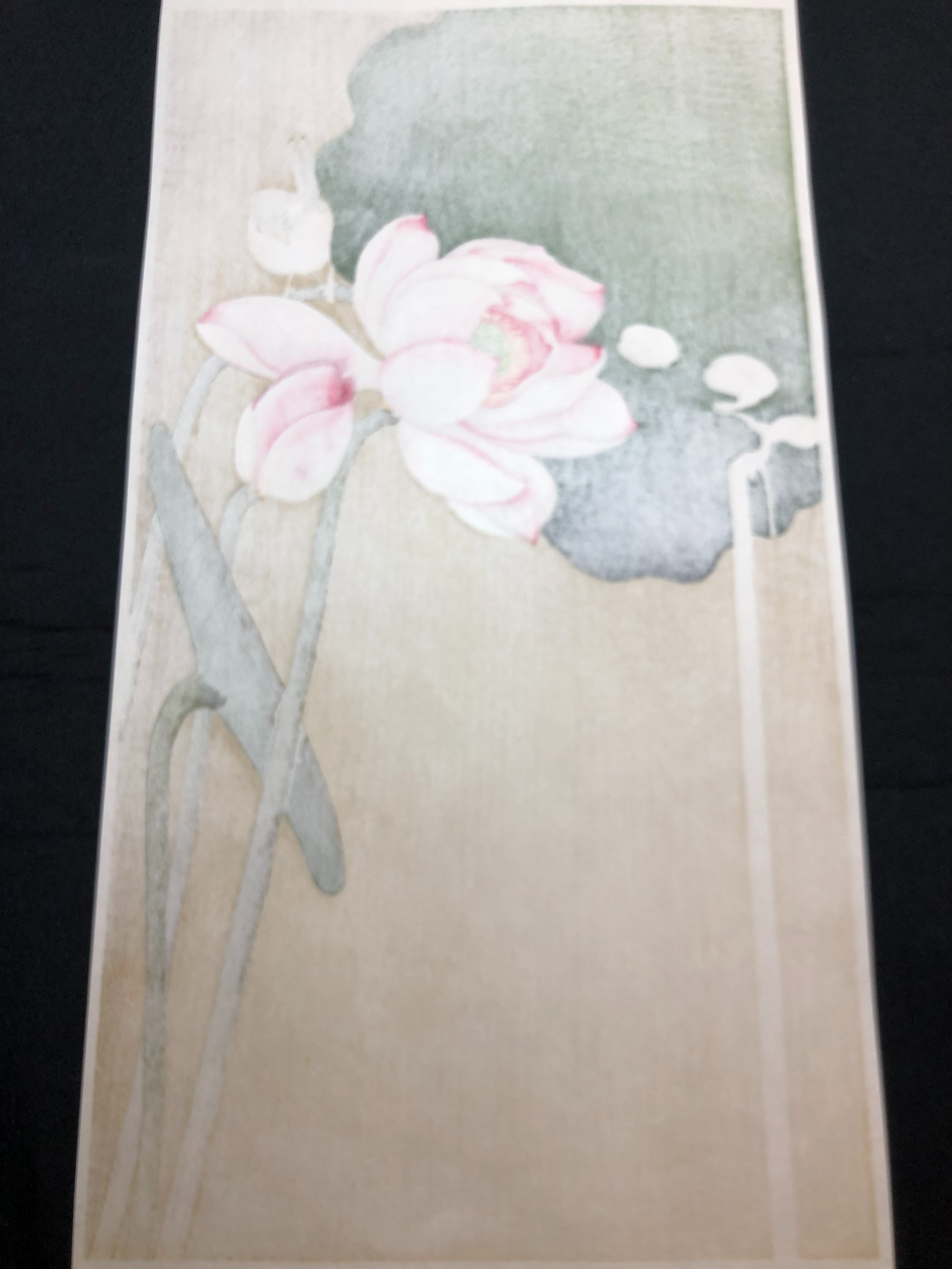 小原古邨木版画復刻版 木製フレーム付き 小原古邨木版画復刻版 木製フレーム付き 小原古邨木版画復刻版 木製